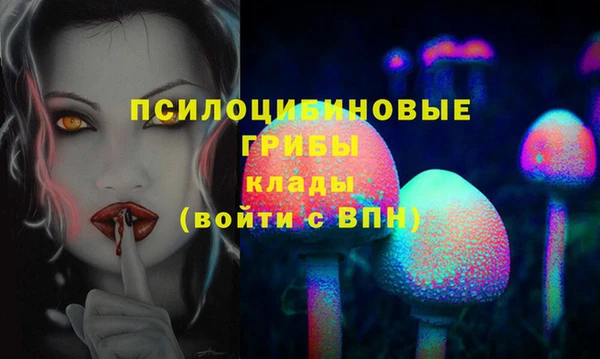 спайс Абинск