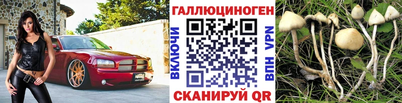 Псилоцибиновые грибы мухоморы  Невинномысск 